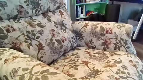 Snapshot of mr_atwood chatting on August 6, 6:43 pm mr_atwood online show from August 6, 6:43 pm