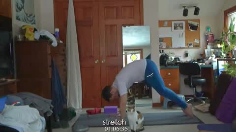 ninko online show from January 31, 5:42 pm