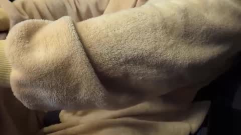 mrdelapampa online show from November 26, 11:55 am