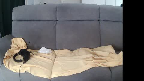 I am Hardy online show from December 5, 11:07 pm