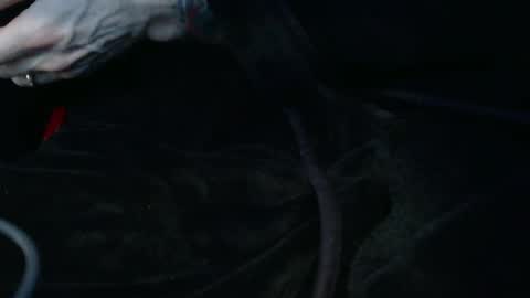 Snapshot of mrf388 chatting on February 8, 3:15 pm IwantU2WatchME online show from February 8, 3:15 pm