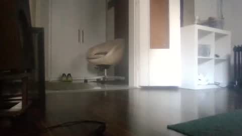 Nikola online show from January 17, 10:53 am