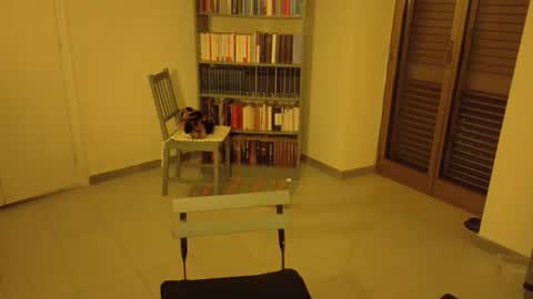 mrkurt86 online show from November 21, 4:49 pm