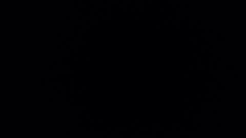 mrnofaceinyourhouse online show from November 12, 5:08 am