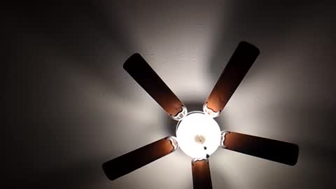 mrorange50187 online show from December 1, 10:21 pm