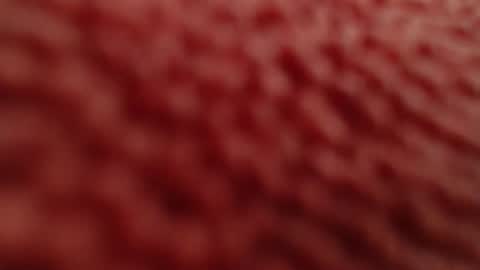 rooster70 online show from April 27, 1:20 pm