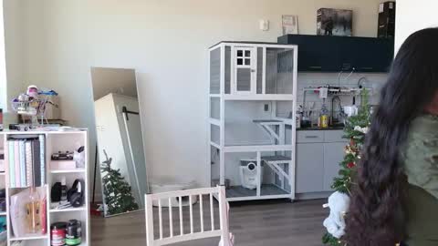 Snapshot of ms_mochii chatting on October 25, 6:35 pm R o r i SnapChat heyroriv2 wednesday - sunday Noon oclock mountain - 5pm mountain online show from October 25, 6:35 pm