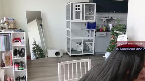 Snapshot of ms_mochii chatting on November 1, 6:21 pm R o r i SnapChat heyroriv2 wednesday - sunday Noon oclock mountain - 5pm mountain online show from November 1, 6:21 pm