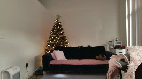 R o r i  SnapChat heyroriv2 wednesday - sunday Noon oclock mountain - 5pm mountain online show from February 12, 4:13 pm