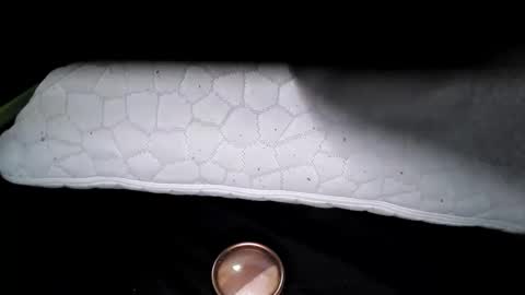 Snapshot of msmomy69 chatting on November 18, 2:43 pm msmomy69 online show from November 18, 2:43 pm