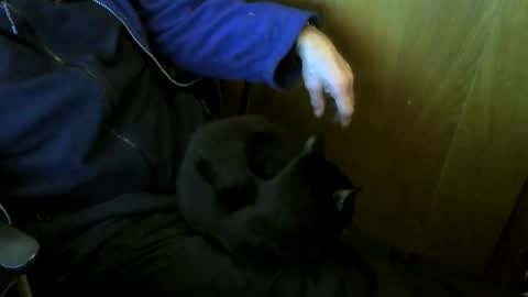 muller520 online show from January 9, 4:21 pm