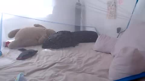 Snapshot of munchi_ chatting on June 28, 2:23 pm online show from June 28, 2:23 pm