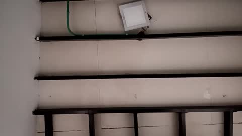 Sebastian online show from October 3, 11:40 am