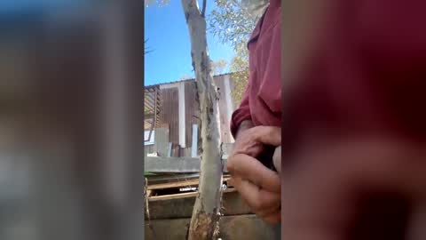 my_cockeye online show from March 4, 5:13 am