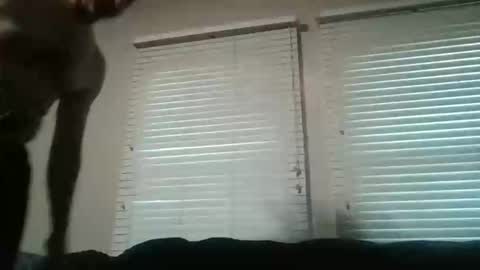 Snapshot of my_little_vienna_sausage chatting on November 16, 10:26 pm vienna online show from November 16, 10:26 pm