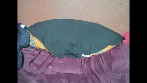 myaldiah online show from February 17, 4:04 pm