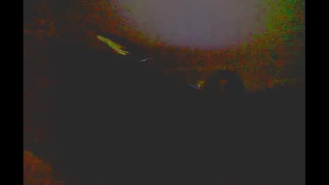 Snapshot of myassfatsowhat chatting on January 5, 4:58 am myassfatsowhat online show from January 5, 4:58 am