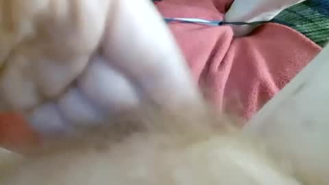 Kitty online show from July 2, 11:16 am