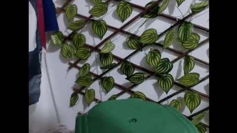 my negrito online show from March 16, 7:51 pm