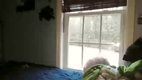 Snapshot of mysexiness0 chatting on February 27, 2:39 pm mysexiness0 online show from February 27, 2:39 pm