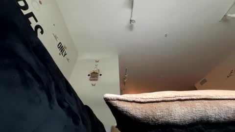   Mystery   online show from May 2, 4:01 pm