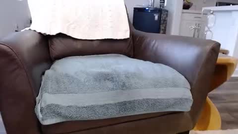 Lynn online show from November 10, 3:55 pm