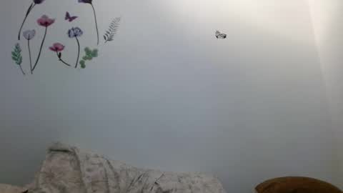 Snapshot of nahomy_gree chatting on February 6, 6:40 am nahomy_gree online show from February 6, 6:40 am