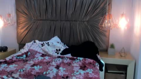 nai_blue online show from October 7, 3:14 am