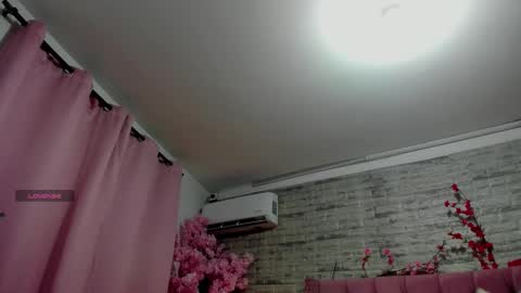 Snapshot of naiawhisper chatting on February 26, 11:53 am naiawhisper online show from February 26, 11:53 am