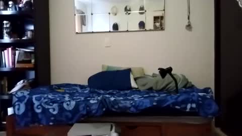 Snapshot of nak3d_lif3 chatting on January 21, 11:55 pm nak3d_lif3 online show from January 21, 11:55 pm