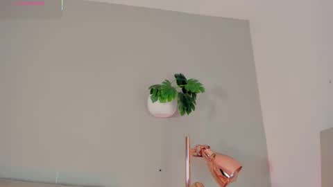 Snapshot of nakamura_san chatting on February 9, 10:52 am INSTAGRAM m2221 online show from February 9, 10:52 am