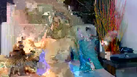 NALAROY online show from December 3, 7:55 pm