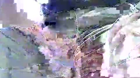 Nane online show from November 19, 12:16 pm