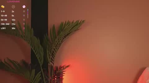 nanis_dash online show from December 20, 7:32 pm