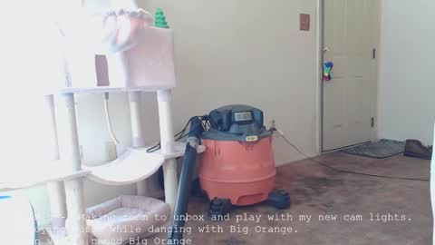 Nanna Baldur online show from December 16, 4:01 pm