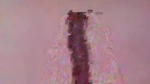 Snapshot of nasandratra1901376647 chatting on March 16, 8:40 am nasandratra1901376647 online show from March 16, 8:40 am