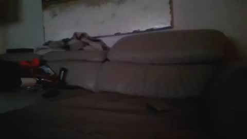 nassobout online show from December 24, 6:55 am