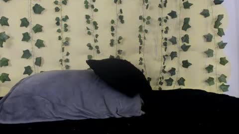 Maira online show from February 13, 10:23 am