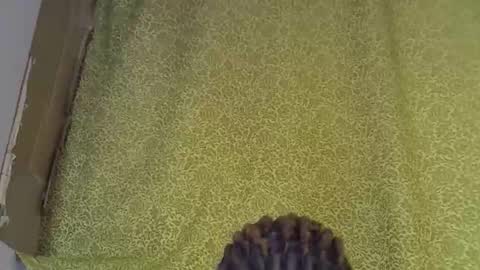 Snapshot of nasty_previne chatting on January 7, 8:22 pm previn online show from January 7, 8:22 pm