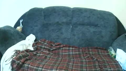 nastylily1 online show from January 17, 7:02 am