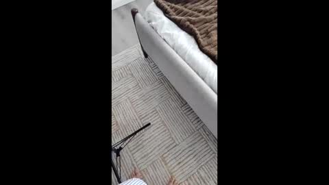 Asian Milf Show online show from November 17, 5:41 pm