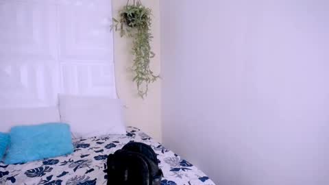 NATALY online show from April 25, 5:21 pm