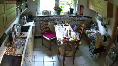 Nature online show from April 16, 10:27 am