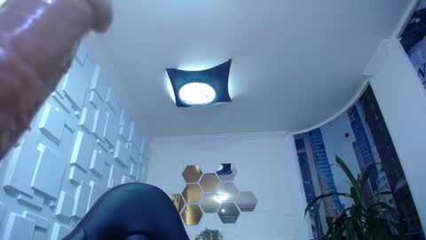 Kitten online show from December 28, 2:21 pm