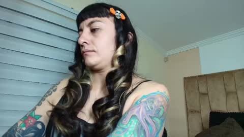 Kitten online show from September 20, 10:49 am