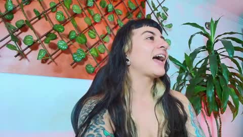 Kitten online show from April 10, 11:15 am