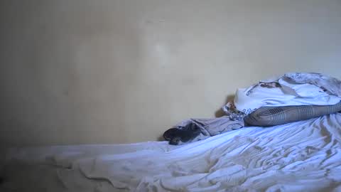 Jessy online show from December 16, 10:09 am