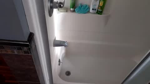 needsub online show from November 27, 9:50 pm