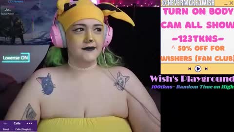 Wishs Playground online show from February 17, 3:40 pm