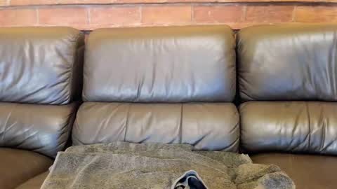 Snapshot of new_matilda chatting on December 4, 11:52 am Matilda online show from December 4, 11:52 am